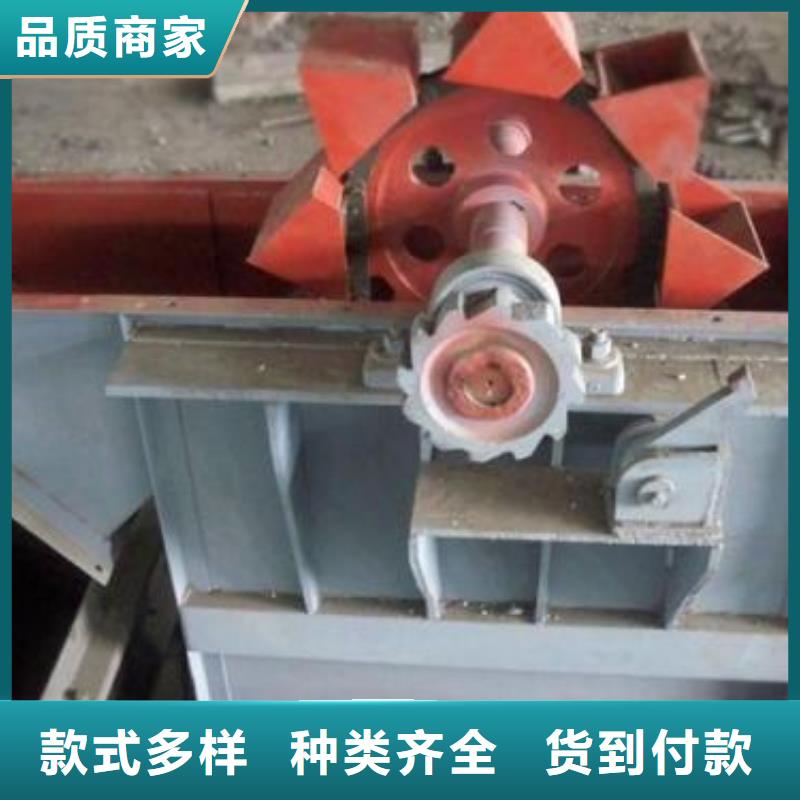 2026斗式机防跑偏装置种植基地