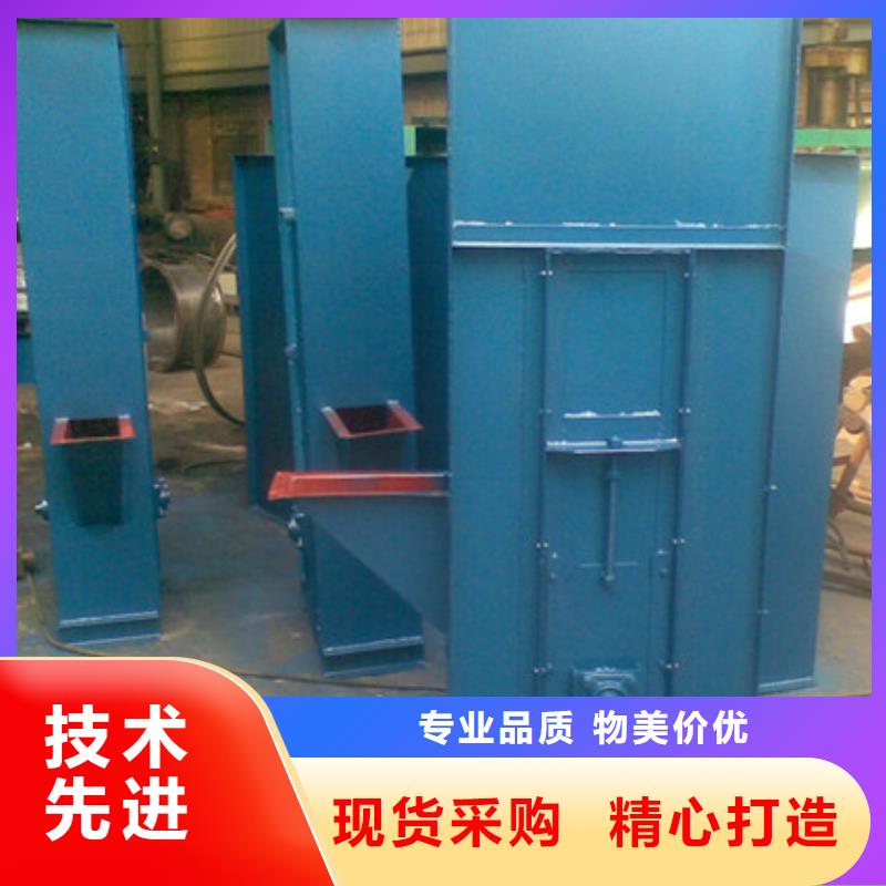 TD200斗式提 升机卫生环保、适用广