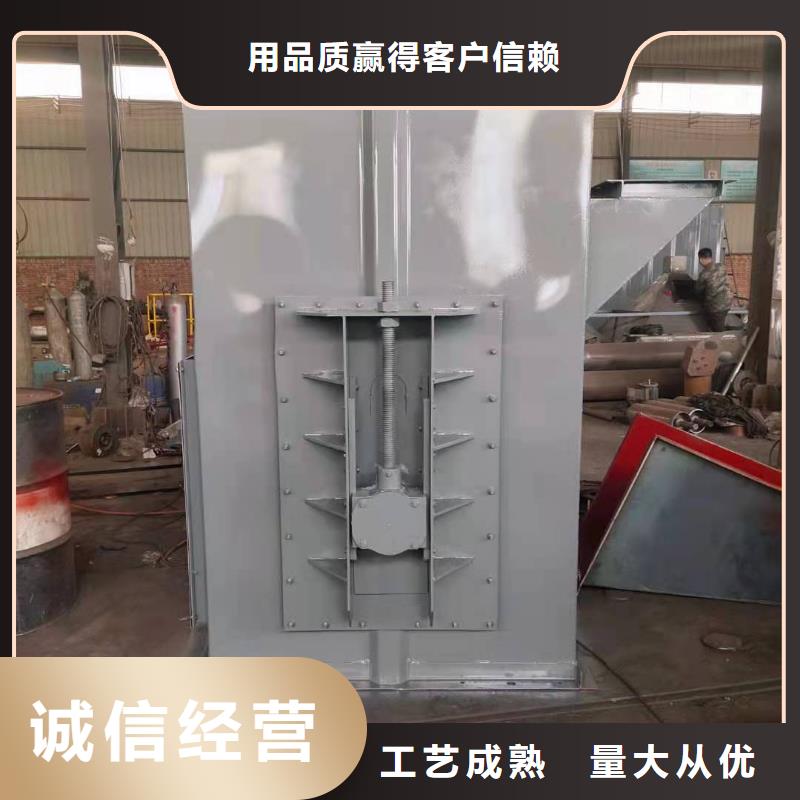 TD200斗式提 升机卫生环保、适用广