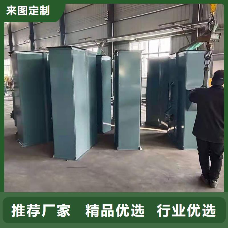 NE50板链斗式提 升机加厚密封