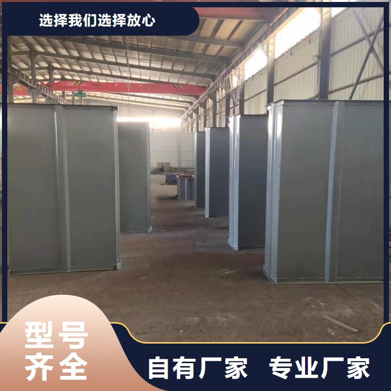 TD200斗式提 升机卫生环保、适用广