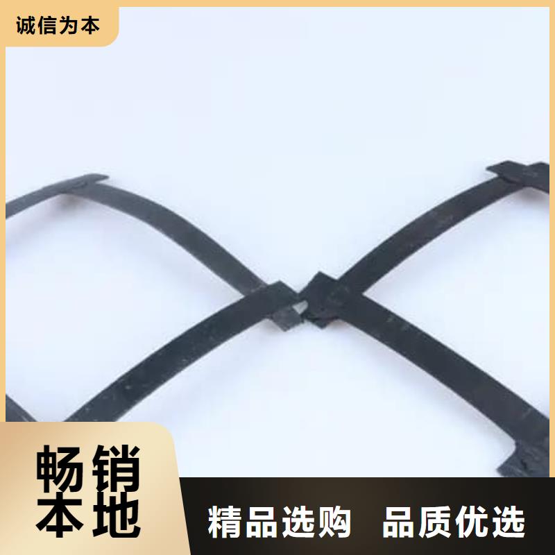 玻璃纤维土工格栅 边坡防护