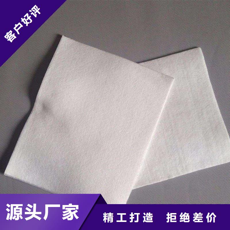 反滤土工布 边坡防护