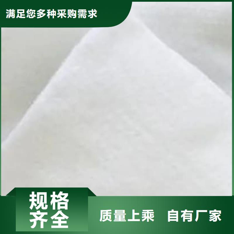 隔渗土工布 软基处理