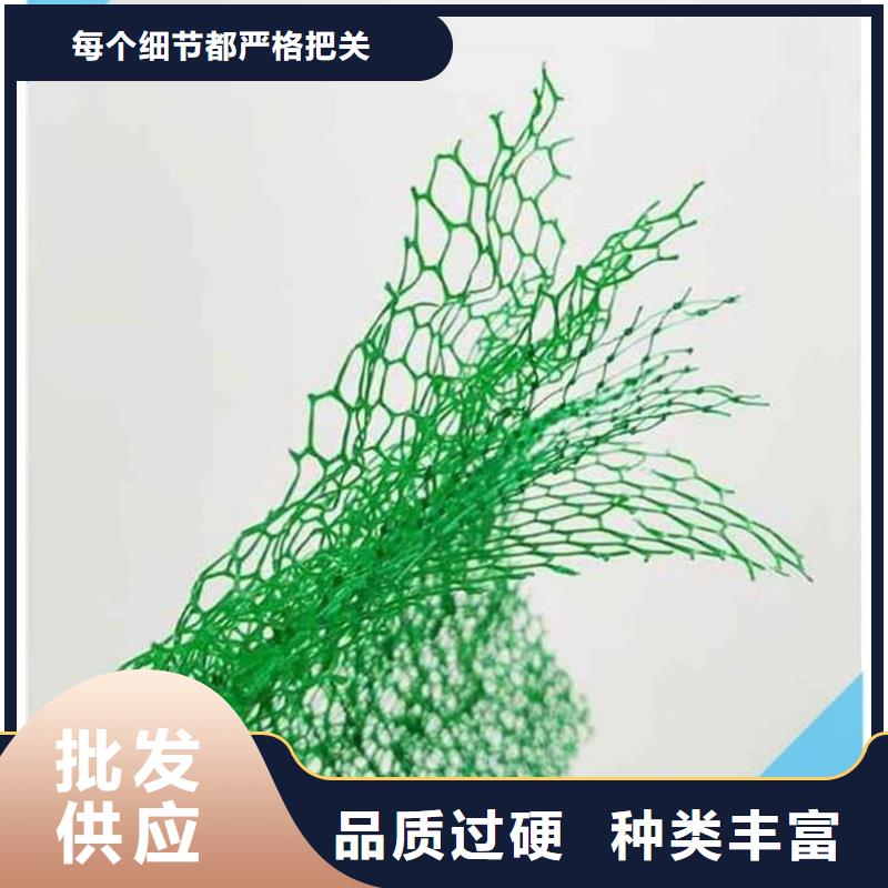 三维植被网厂家