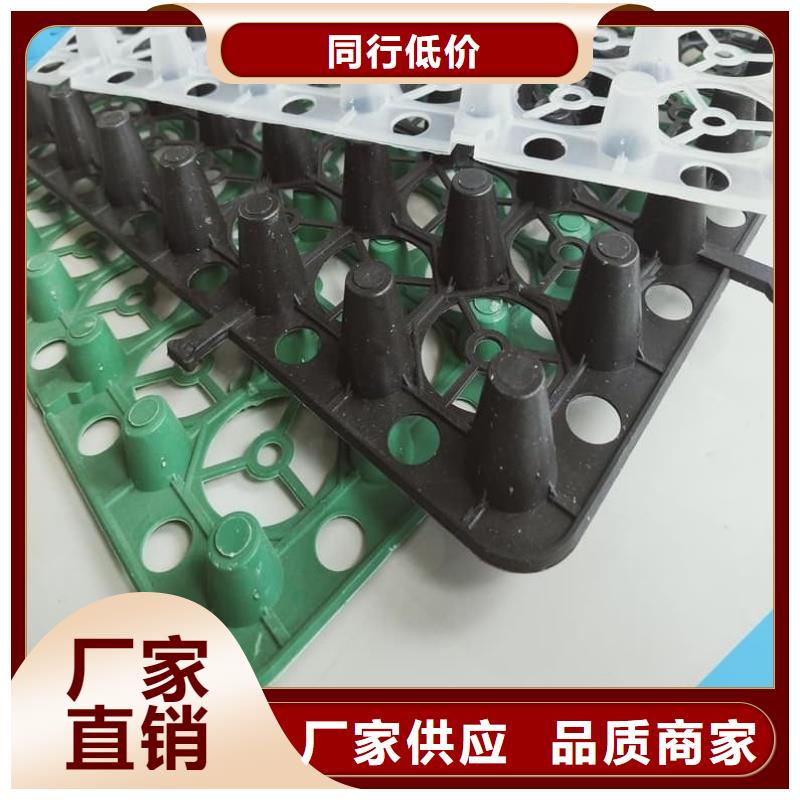 虹吸排水板直营厂家「型号齐全」