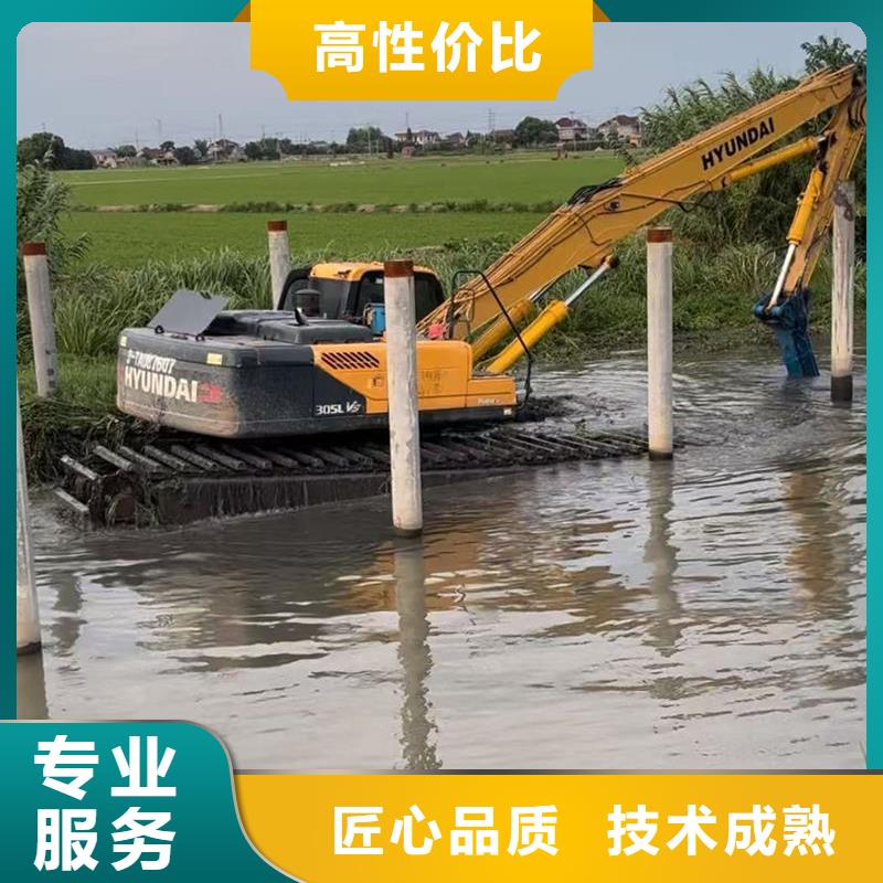 水上光伏打桩机渔光互补光伏打桩机施工队技术成熟