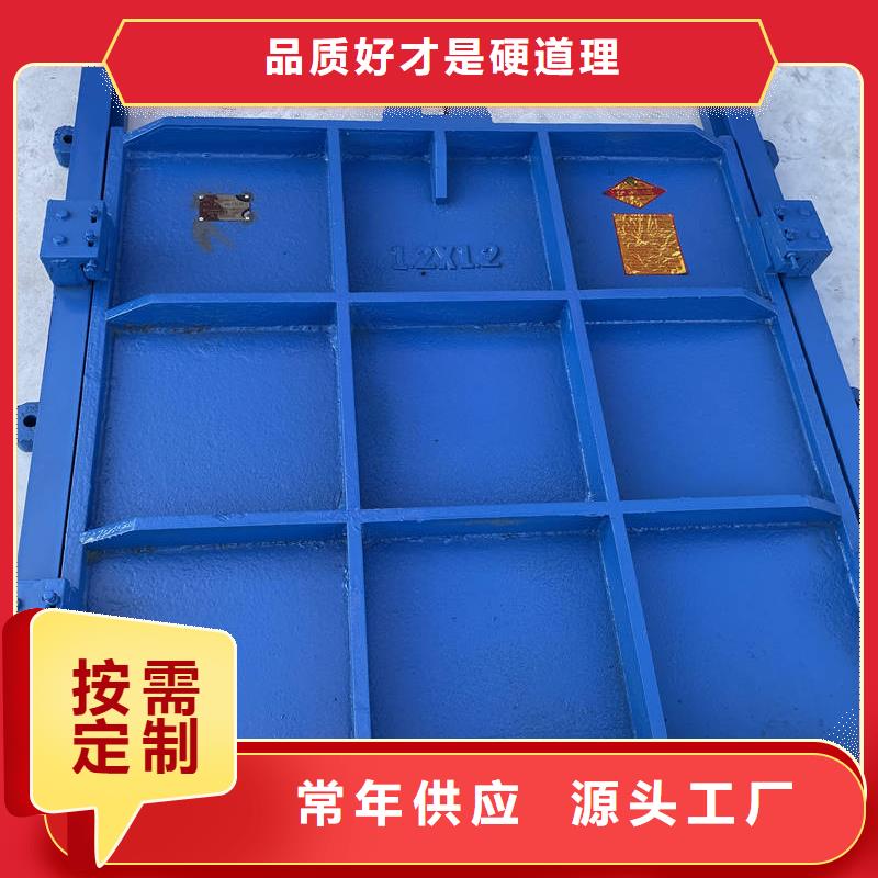 铸铁闸门,平板铸铁闸门材质实在