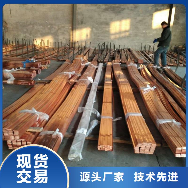 变电站镀锡铜绞线定制价格