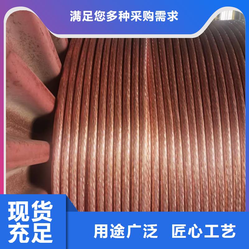 【优选】镀锡铜绞线（接地线）源头厂家