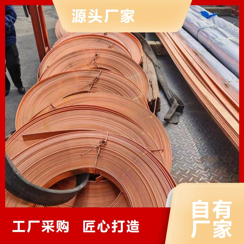 【优选】镀锡铜绞线（接地线）源头厂家