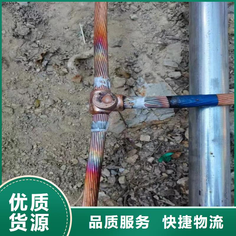 规格全的接地镀锡铜绞线现货厂家