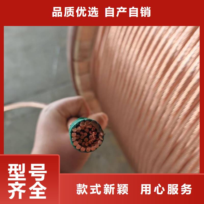 TJ-185mm镀锡2铜绞线厂家实地货源