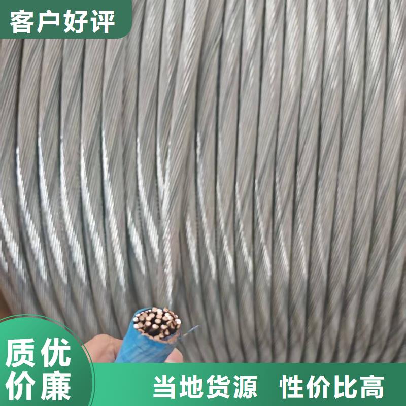 TJ-185mm镀锡2铜绞线厂家实地货源