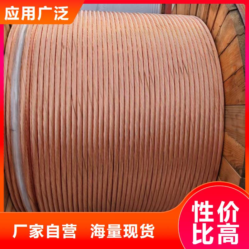 【优选】镀锡铜绞线（接地线）源头厂家