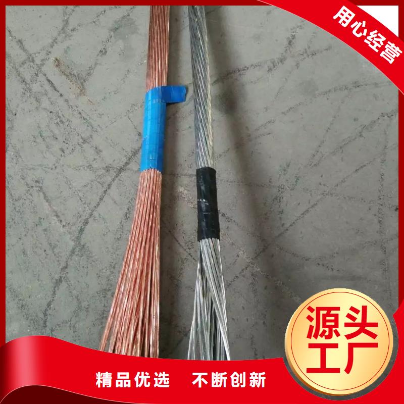 【优选】镀锡铜绞线（接地线）源头厂家