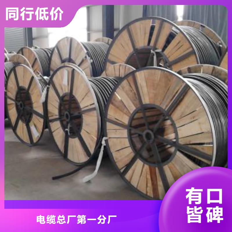 电线电缆PTYA23电缆层层质检