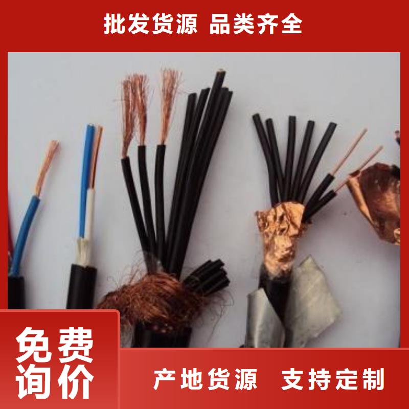 電線電纜_PTYA23電纜廠家規(guī)格全