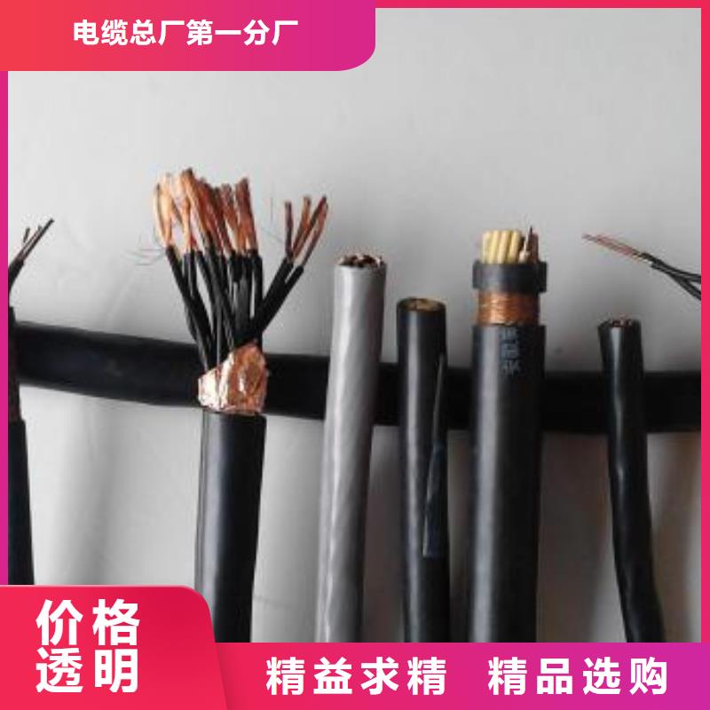電線電纜PTYA23電纜實力工廠