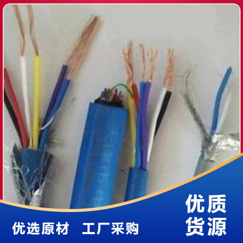 電線電纜PTYA23電纜實力工廠