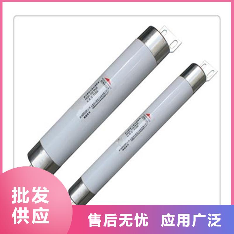 XRNP-3.6/0.2A熔斷器