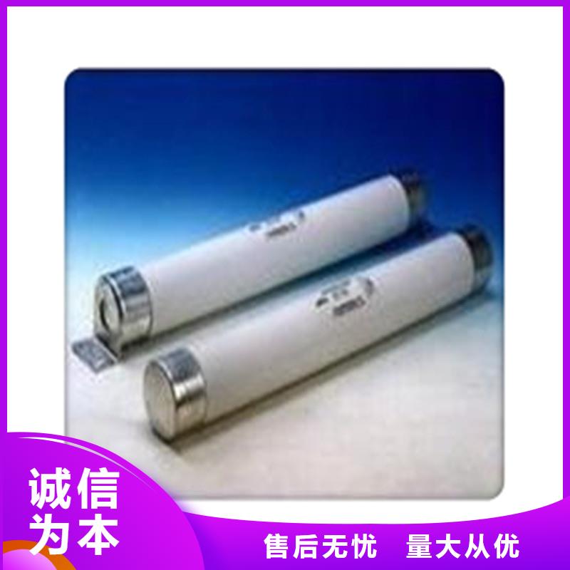 XRNP-3.6/0.2A熔斷器
