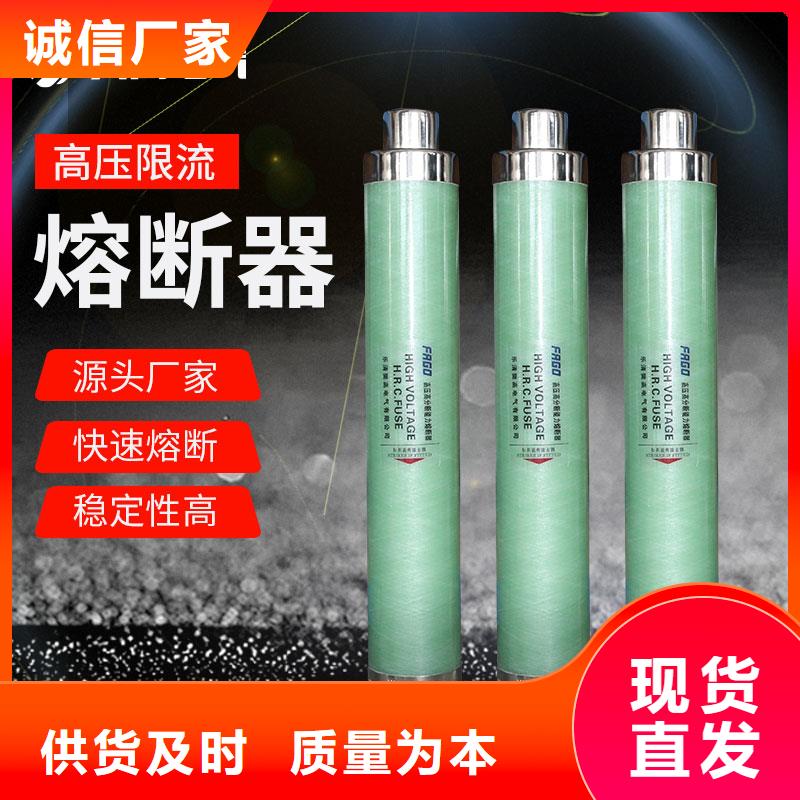 XRNP-3.6/0.2A熔斷器