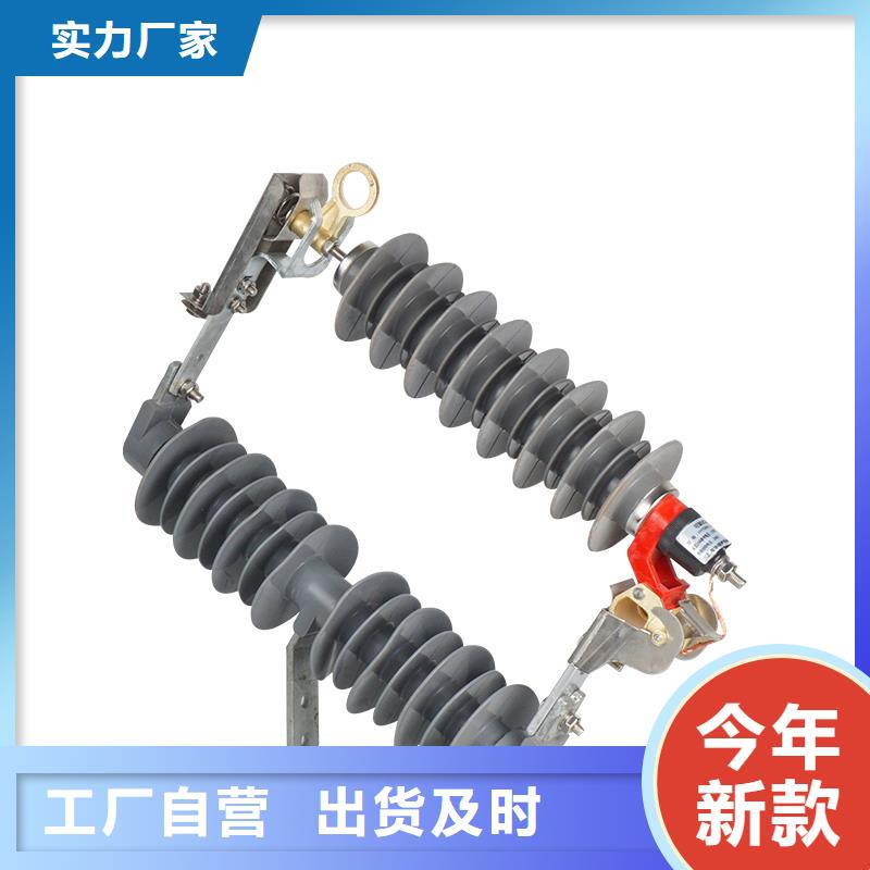HY5WZ-54/142電站型避雷器
