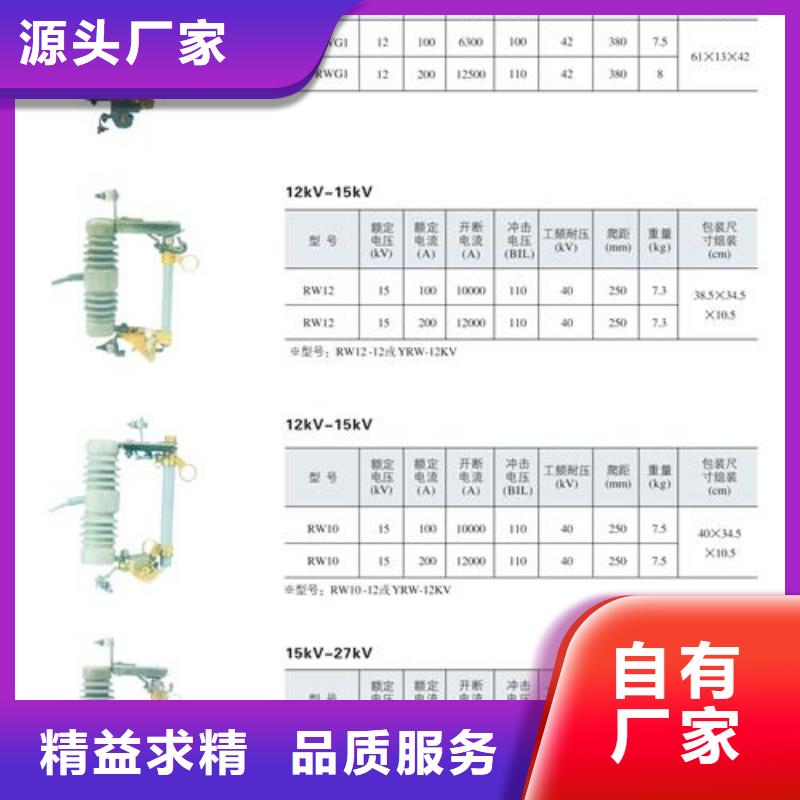 PRW12-15/200A高壓熔斷器樊高