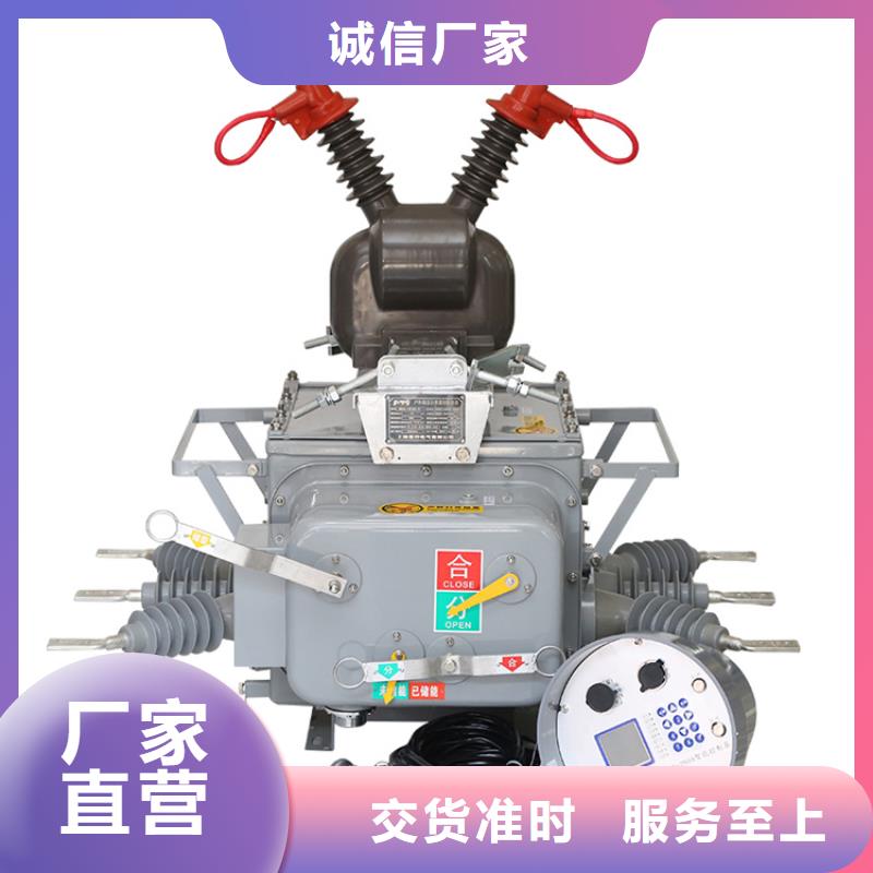 ZW8M-12G/T1250智能型真空斷路器樊高