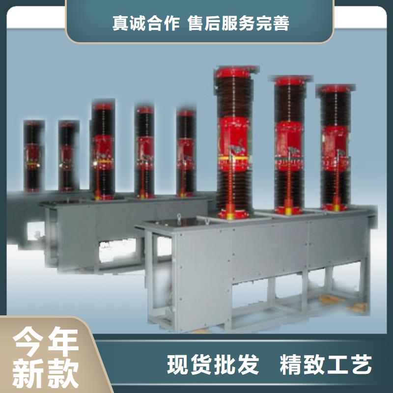 ZN28-12T/1000-25連體式系列戶內(nèi)真空斷路器