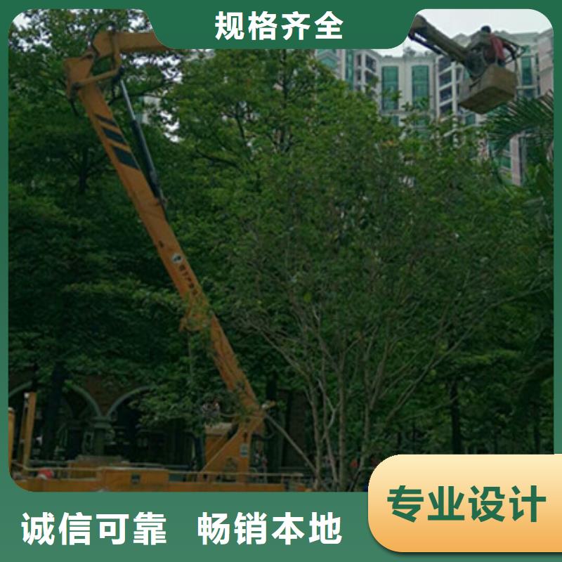 高空作業(yè)車租賃品質(zhì)無所畏懼