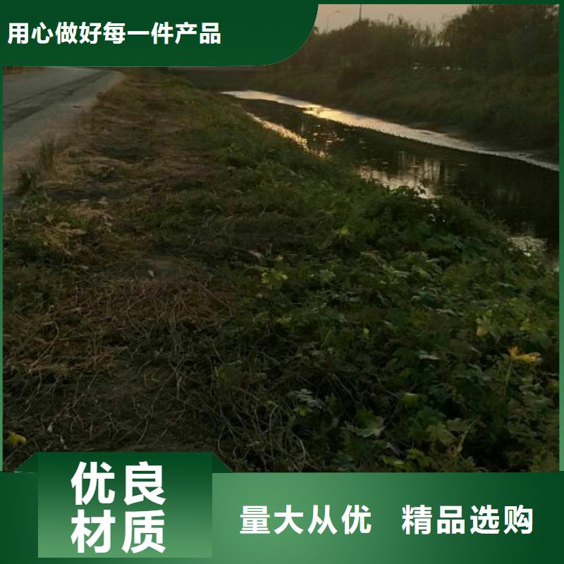 污泥處理,土壤固化劑懂您所需