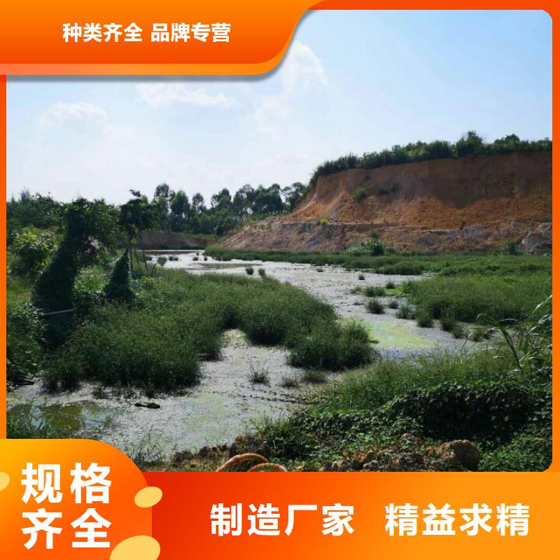 污泥處理,土壤固化劑懂您所需