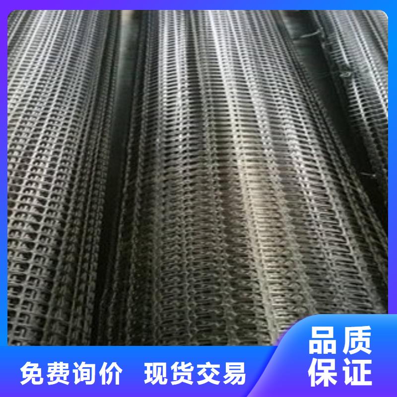 雙向塑料格柵三維植被網實力雄厚品質保障