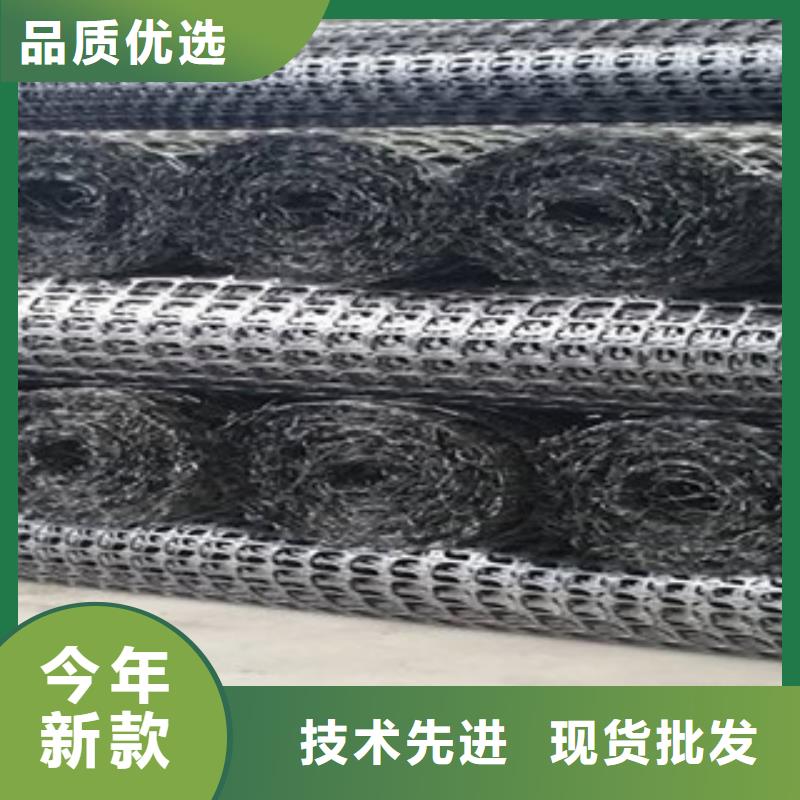 双向塑料格栅三维植被网优势