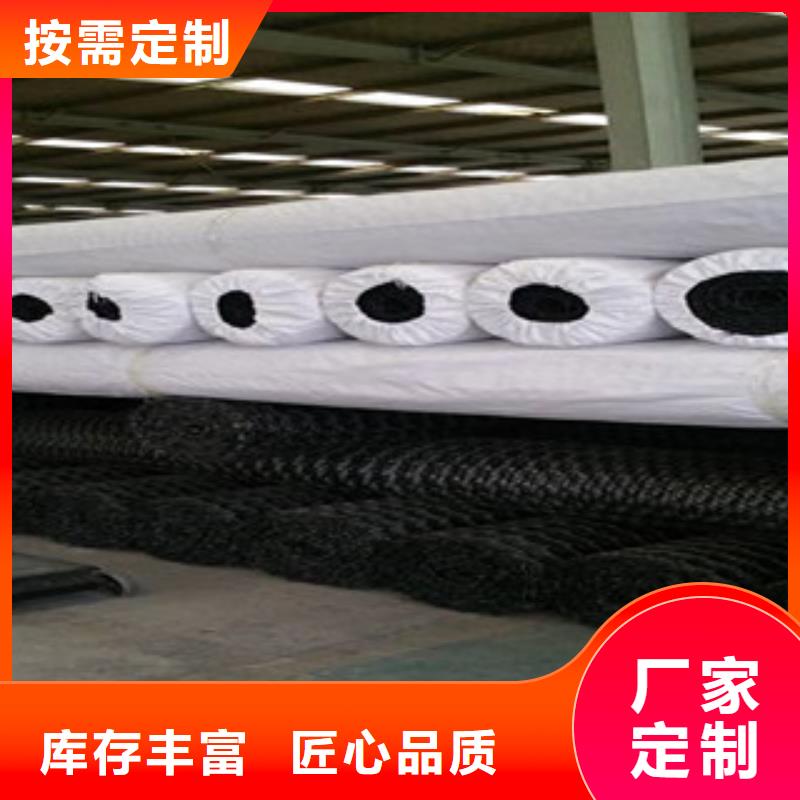 双向塑料格栅_玻纤土工格栅大厂生产品质