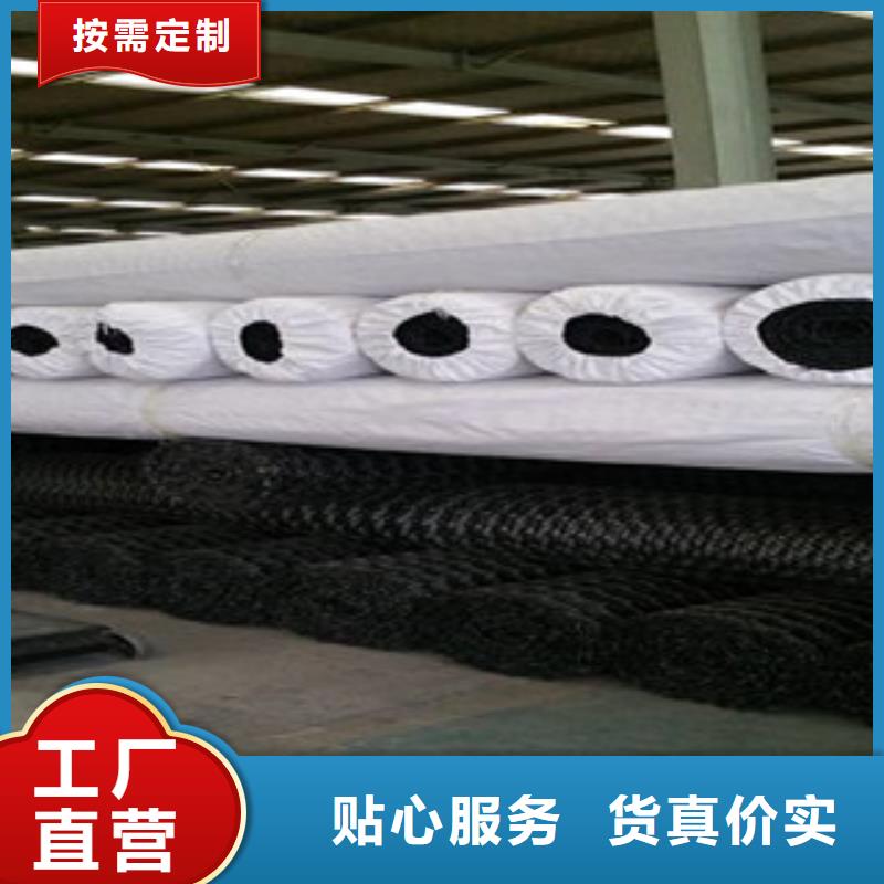雙向塑料格柵鋼塑土工格柵多行業(yè)適用