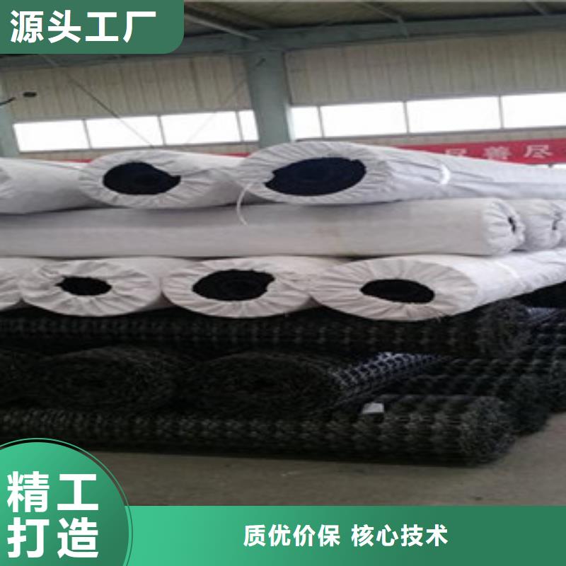 双向塑料格栅【钢塑土工格栅】购买的是放心