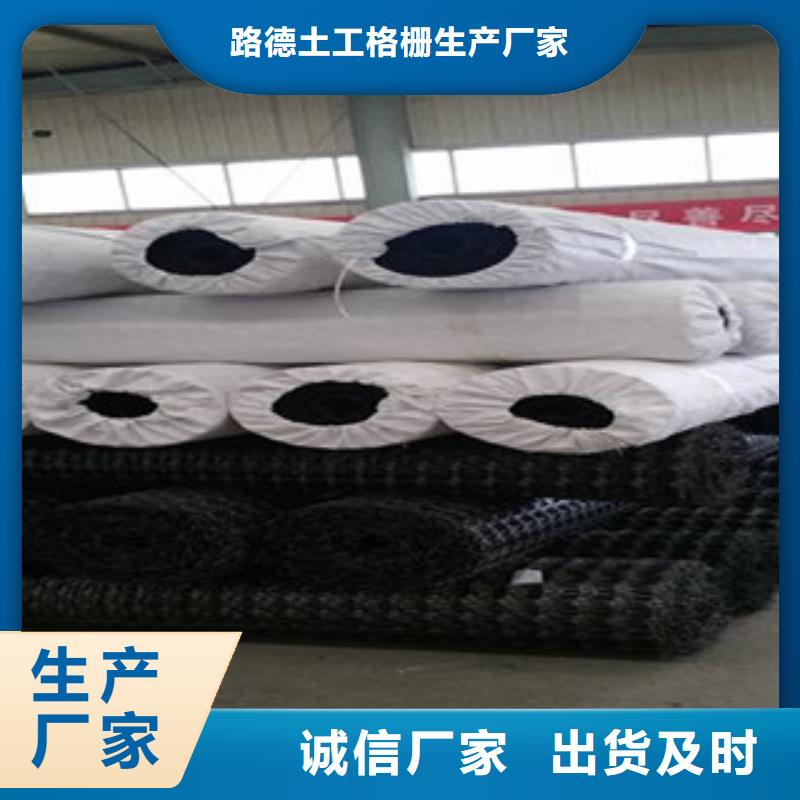 双向塑料格栅,三维植被网源头采购