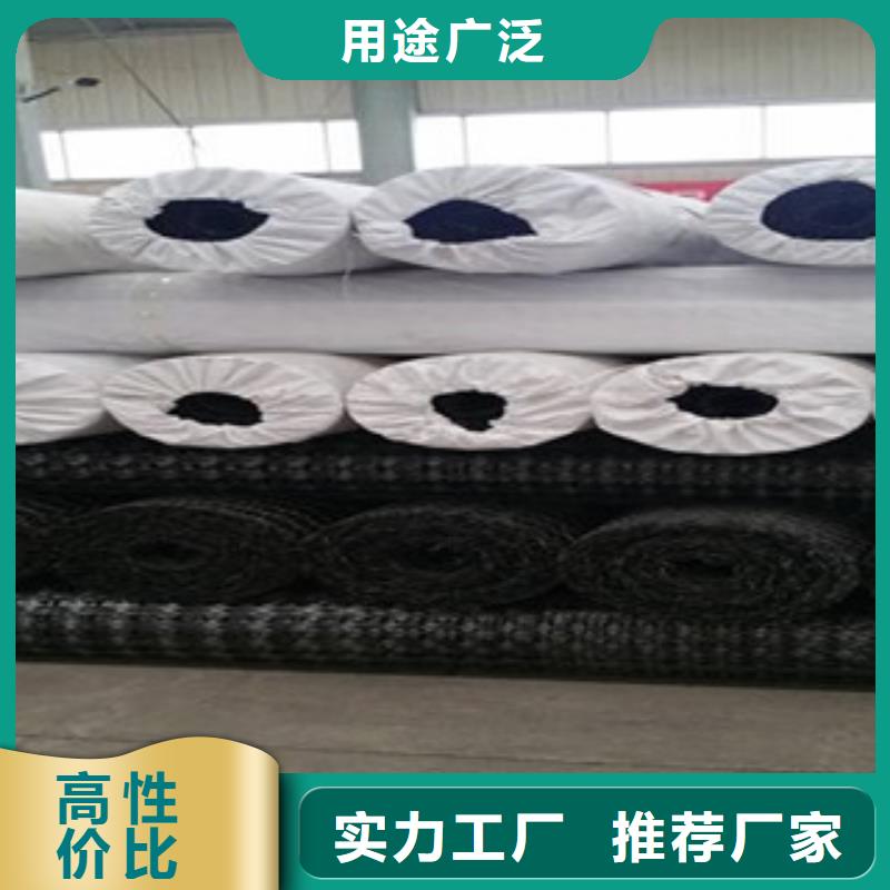雙向塑料格柵鋼塑土工格柵多行業(yè)適用