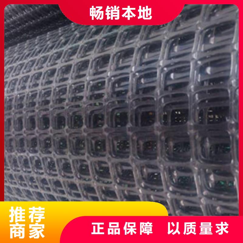 双向塑料格栅,三维植被网源头采购