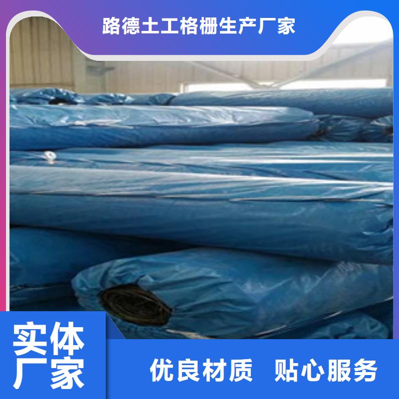 雙向塑料格柵玻纖土工格柵批發(fā)貨源