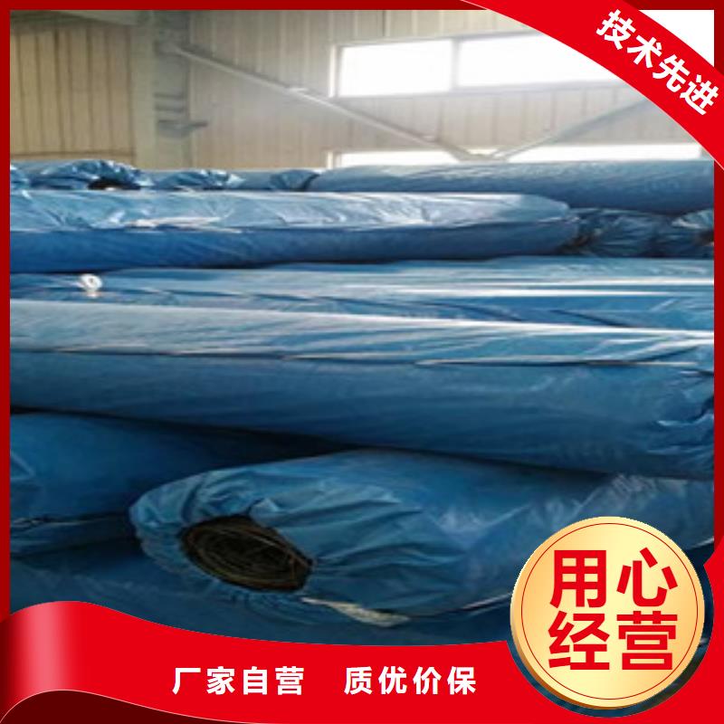 双向塑料格栅玻纤土工格栅批发货源