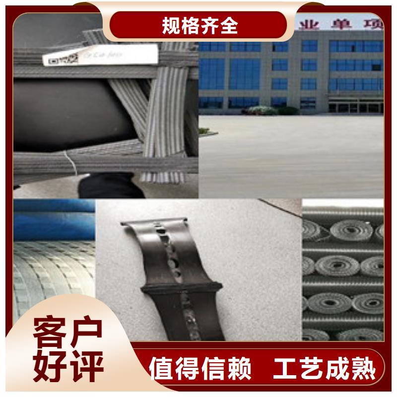 雙向塑料格柵-膨潤土防水毯按需定制真材實(shí)料