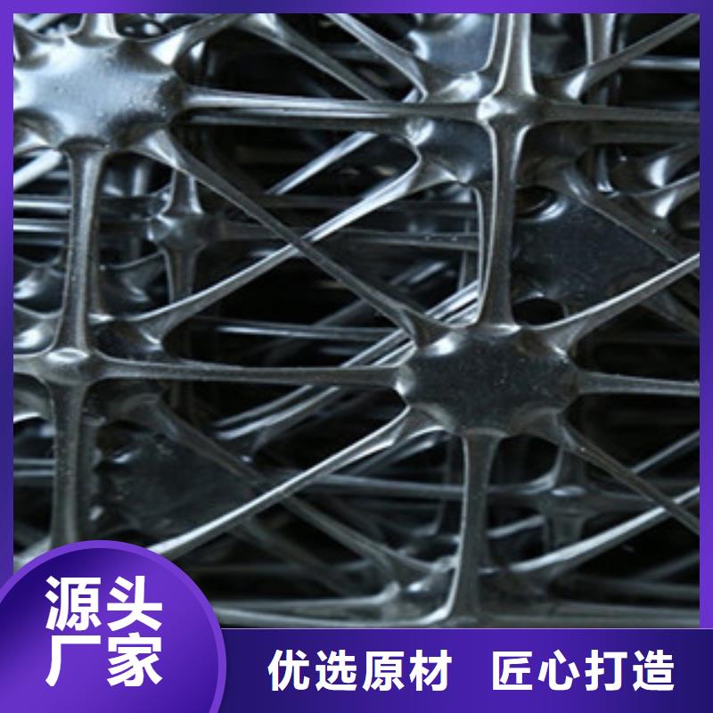 雙向塑料格柵玻纖土工格柵批發(fā)貨源
