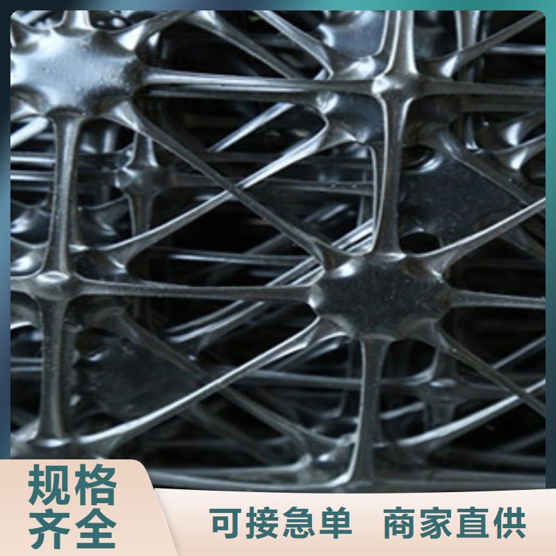 双向塑料格栅【钢塑土工格栅】购买的是放心