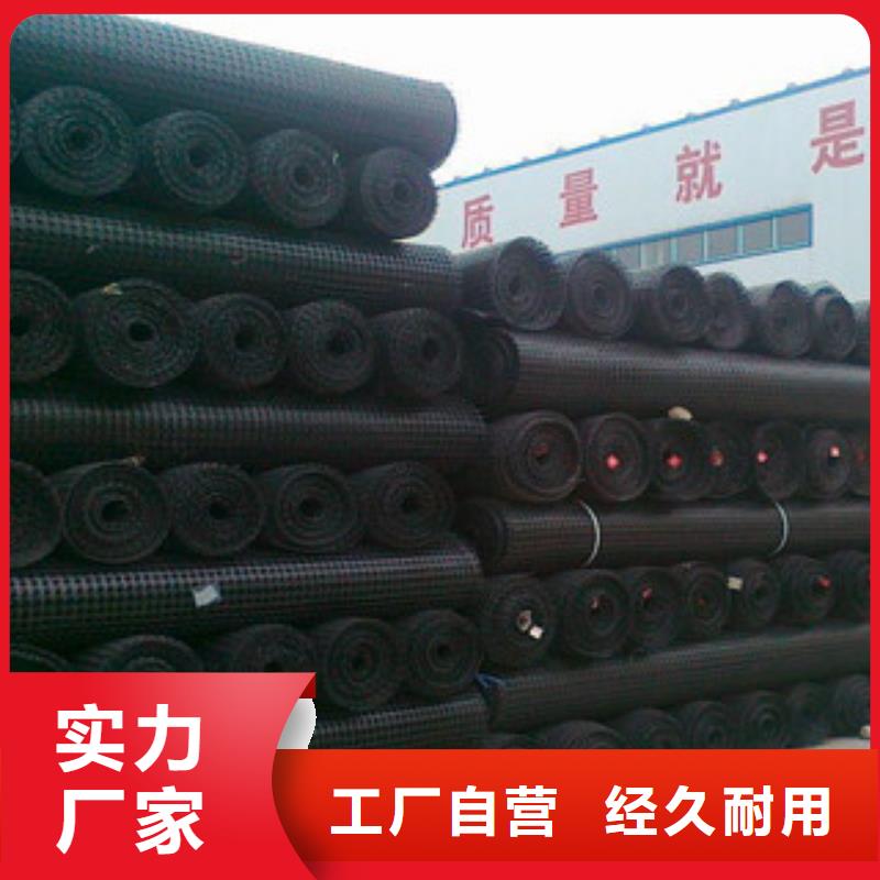 雙向塑料格柵三維植被網實力雄厚品質保障