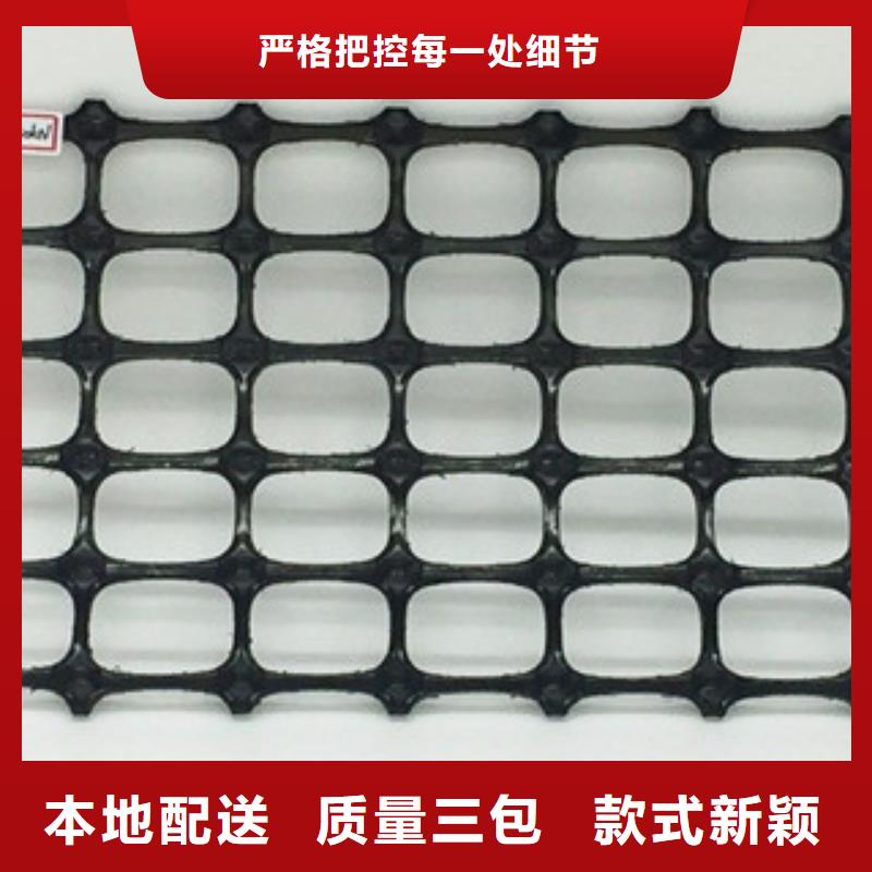 双向塑料格栅,三维植被网源头采购