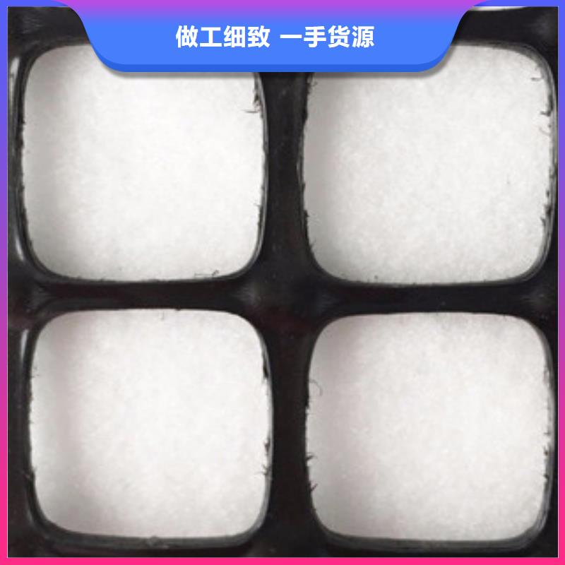 双向塑料格栅塑料土工格栅高品质诚信厂家